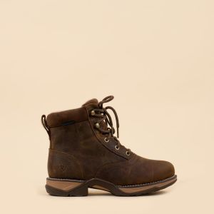 Ariat Anthem Lacer bruin