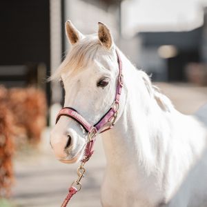 Horka x Redhorse Halster set kyo mauve berry